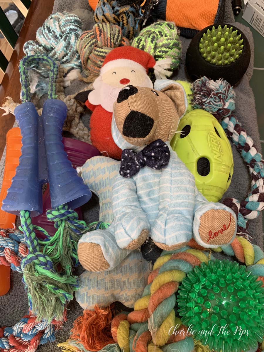 If you have dogs, you have dog toys. There's nothing worse than smelly dog toys! I'll show you how to clean dog toys in a safe, healthy, easy way! 