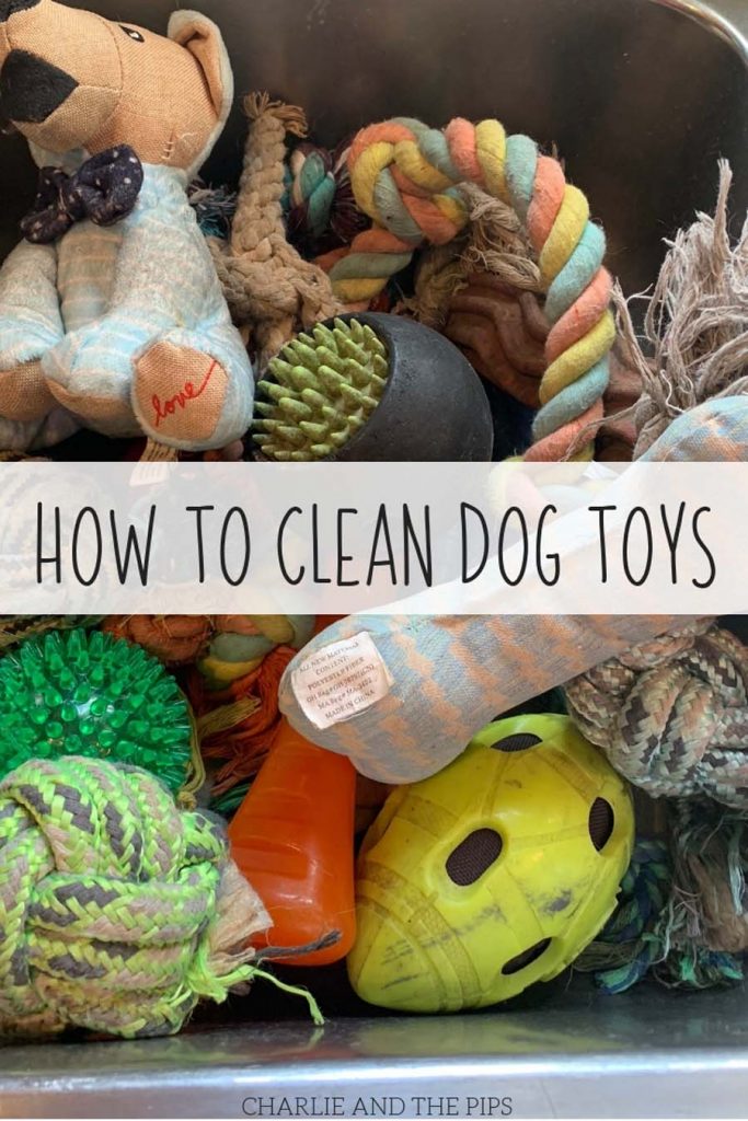 How To Clean Dog Toys Charlie and The Pips