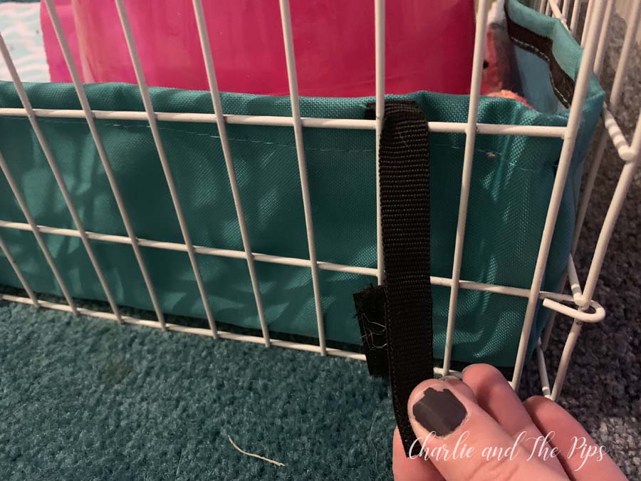 Midwest Guinea pig cages are a popular way to house cavys indoors. When it comes to Guinea pig habitats Midwest makes some great options that go well with fleece bedding!  #guineapigs #midwestcages