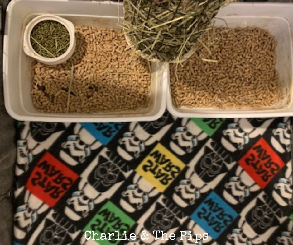 image shows litter boxes and hay rack